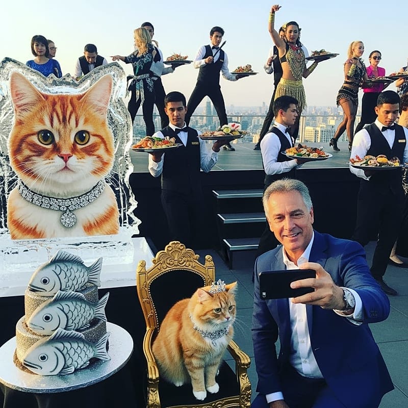 Luxurious cat party setup with crystal decorations, gourmet cat food displays, and elaborate cat furniture