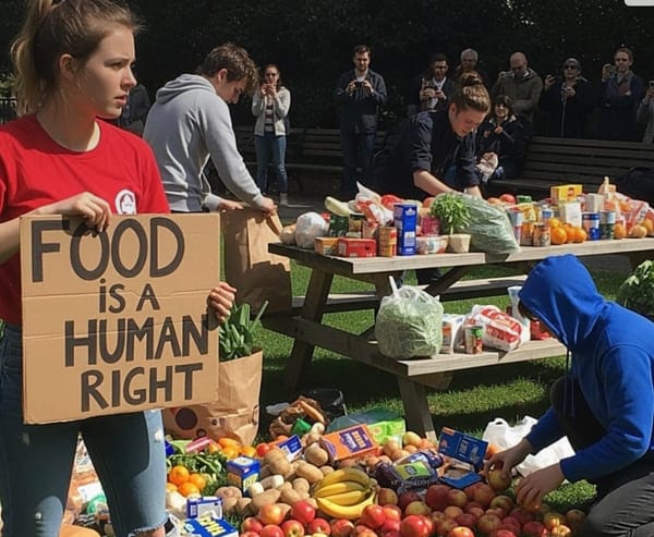 Socialist group dumps groceries in city park to demand free food programs
