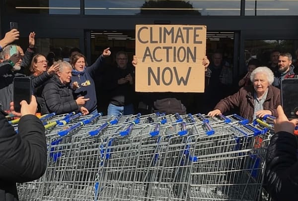 Climate activists block grocery store with shopping carts as families try to buy food